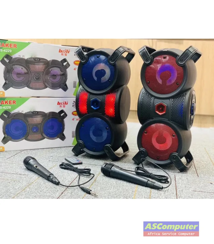 Haut parleur Bluetooth-ZQS 4229 avec Microphone Karaoké